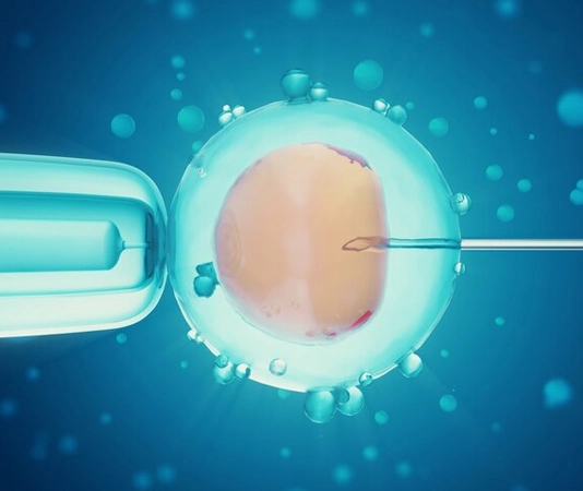 Top Fertility Specialist in Mauritius