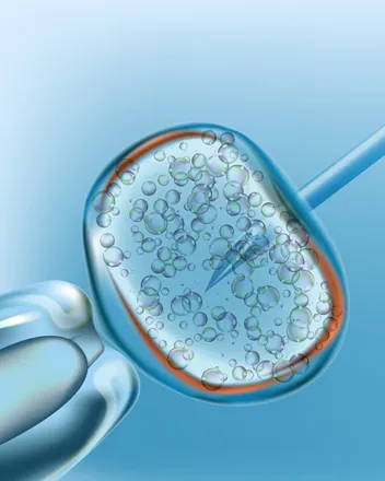 Cytoplasmic Transfer