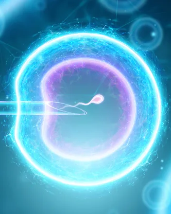 Pre-Implantation Genetic Screening (PGS)