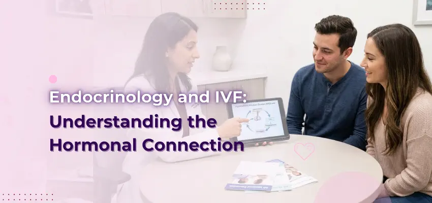 Endocrinology and IVF Understanding the Hormonal Connection